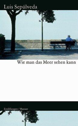 Wie man das Meer sehen kann: Erzählungen