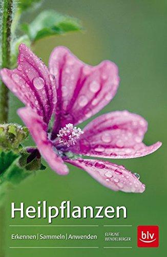 Heilpflanzen: Erkennen | Sammeln | Anwenden