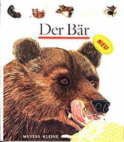 Der Bär