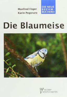 Die Blaumeise: Parus caeruleus