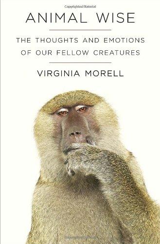 Animal Wise: The Thoughts and Emotions of Our Fellow Creatures (Ala Notable Books for Adults)