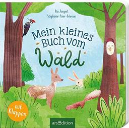 Mein kleines Buch vom Wald: mit vielen Klappen