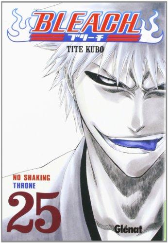 Bleach 25 (Shonen Manga)