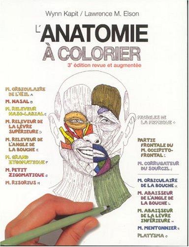 L'anatomie a Colorier