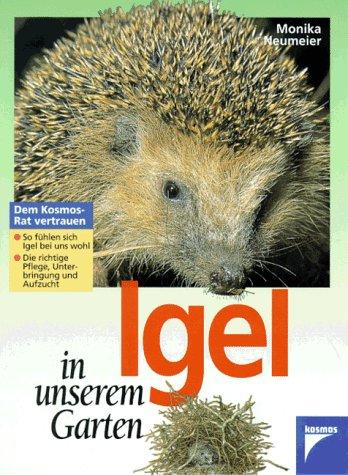 Igel in unserem Garten