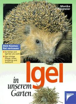 Igel in unserem Garten