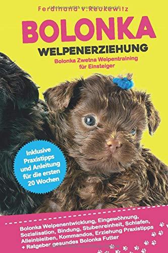 Bolonka Welpenerziehung: Bolonka Zwetna Welpentraining für Einsteiger, Eingewöhnung, Bindung, Stubenreinheit, Erziehung und Futter