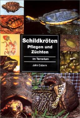 Schildkröten