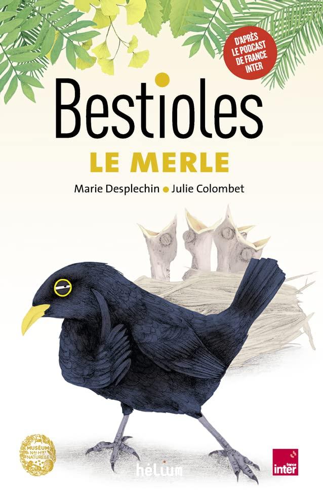 Bestioles. Le merle