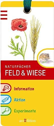 Feld und Wiese: Naturfächer