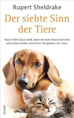 Der siebte Sinn der Tiere: Warum Ihre Katze weiß, wann Sie nach Hause kommen, und andere bisher unerklärte Fähigkeiten der Tiere