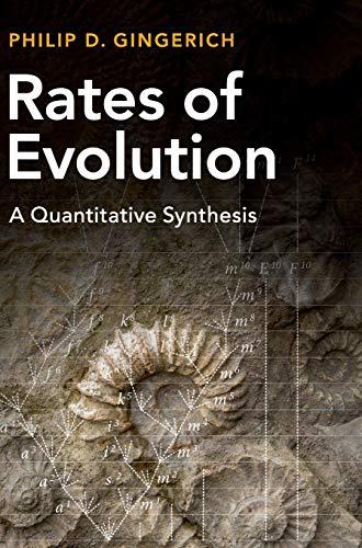 Rates of Evolution: A Quantitative Synthesis