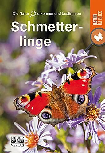 Schmetterlinge: Die Natur erkennen und bestimmen - Natur im Blick