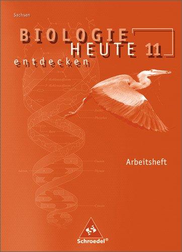 Biologie heute entdecken SII - Ausgabe 2008 für Sachsen: Arbeitsheft 11