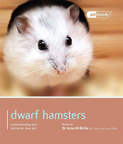 Dwarf Hamsters. (Pet Friendly)