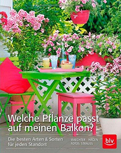 Welche Pflanze passt auf meinen Balkon?: Die besten Arten & Sorten für jeden Standort