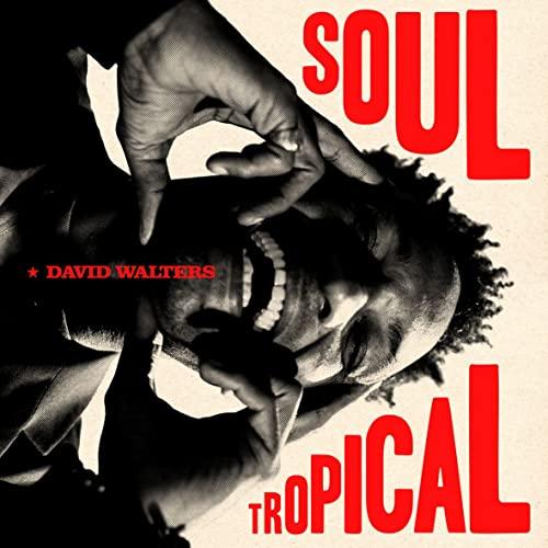 Soul Tropical (Gatefold) [Vinyl LP]