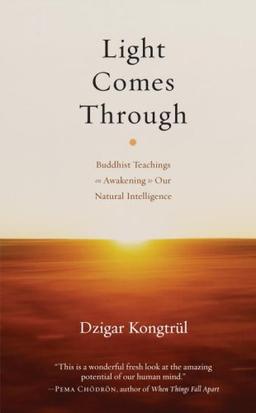 Light Comes Through: Buddhist Teachings on Awakening to Our Natural Intelligence