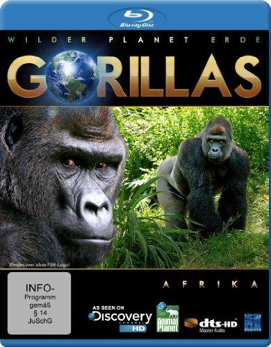 Wilder Planet Erde: Afrika - Gorillas [Blu-ray]