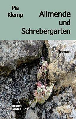 Allmende und Schrebergarten: Roman