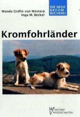 Kromfohrländer