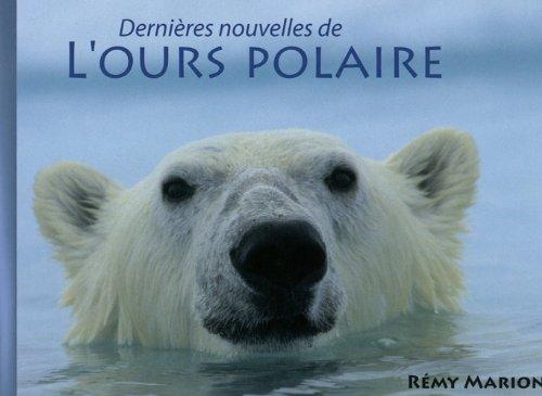 Dernières nouvelles de l'ours polaire