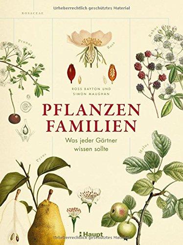 Pflanzenfamilien: Was jeder Gärtner wissen sollte