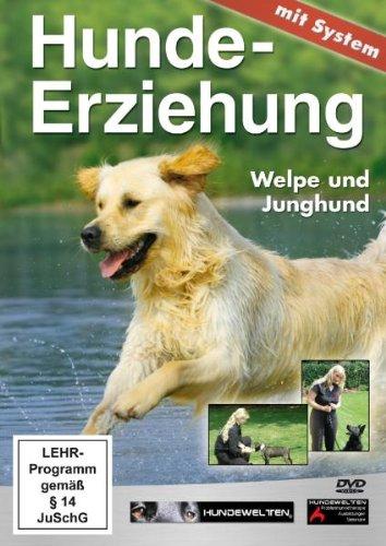 Hundeerziehung mit System: Welpe und Junghund