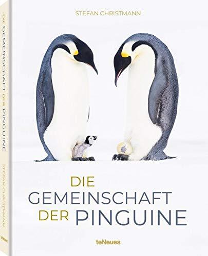 Die Gemeinschaft der Pinguine