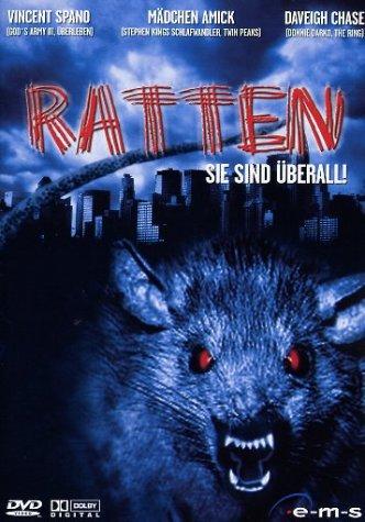 Ratten - sie sind überall!