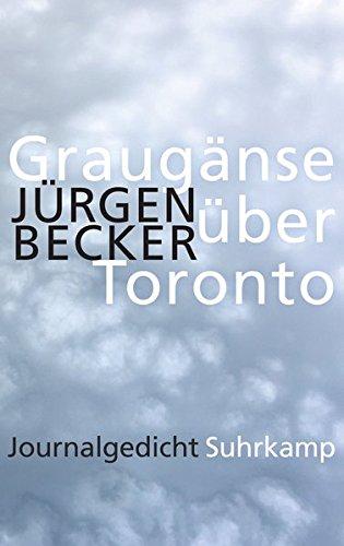 Graugänse über Toronto: Journalgedicht