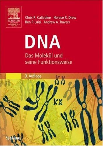 DNA: Das Molekül und seine Funktionsweise