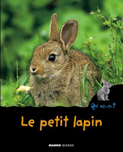 Le petit lapin