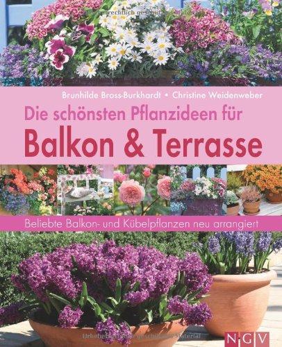 Die schönsten Pflanzideen für Balkon & Terrasse. Beliebte Balkon- und Kübelpflanzen neu arrangiert