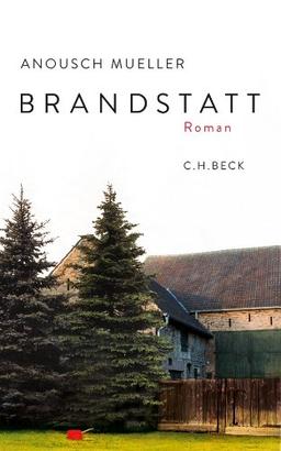 Brandstatt: Roman