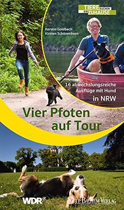 Vier Pfoten auf Tour: 16 abwechslungsreiche Ausflüge mit Hund in NRW