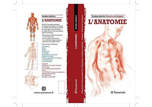 L'anatomie