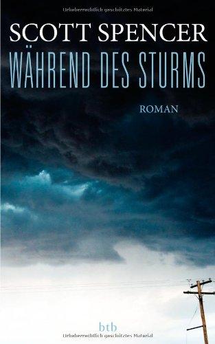 Während des Sturms: Roman