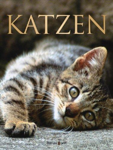 Katzen: Verhalten . Pflege und Haltung . Rassen