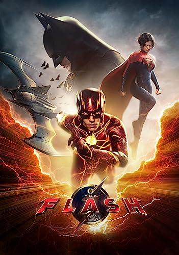 The flash [FR Import]