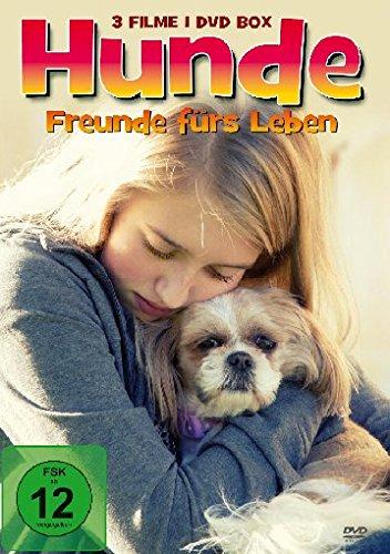 Hunde - Freunde fürs Leben