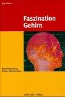 Faszination Gehirn