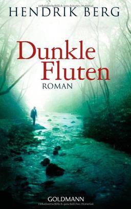 Dunkle Fluten: Roman