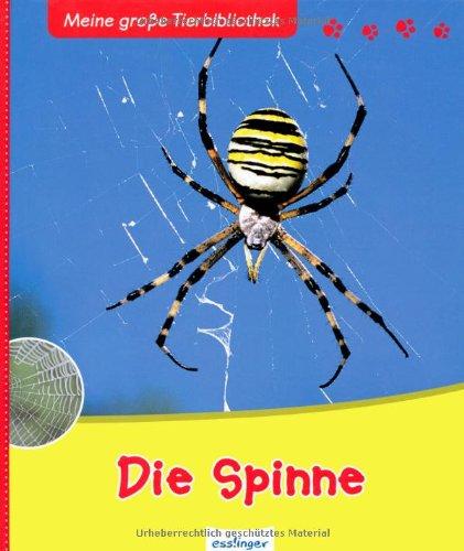 Die Spinne