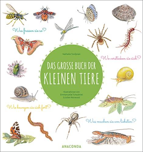 Das große Buch der kleinen Tiere: Was fressen sie so? Wie bewegen sie sich fort? Wo verstecken sie sich? Was machen sie am liebsten?