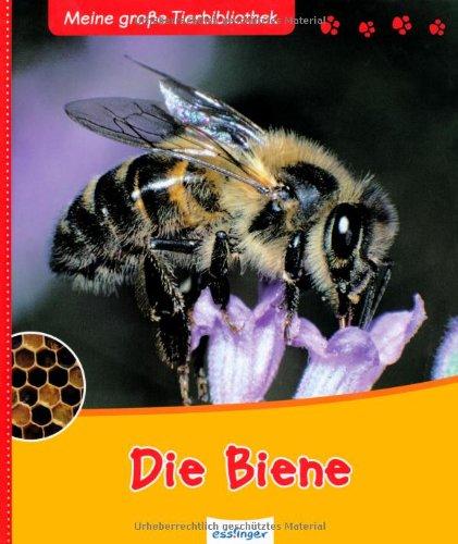 Meine große Tierbibliothek: Die Biene