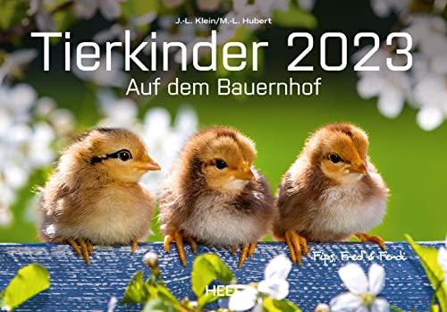 Tierkinder auf dem Bauernhof 2023: Süße Tierbabys vom Land