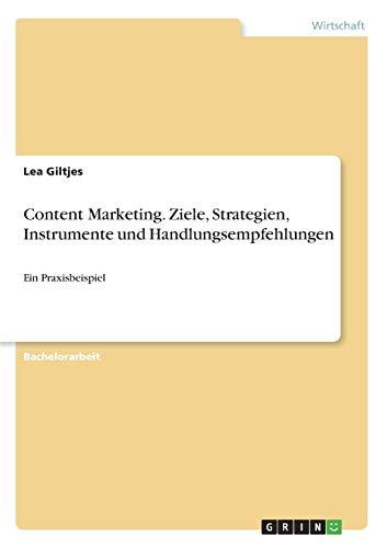 Content Marketing. Ziele, Strategien, Instrumente und Handlungsempfehlungen: Ein Praxisbeispiel