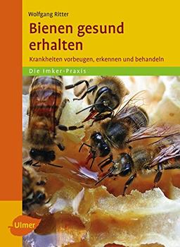 Bienen gesund erhalten: Krankheiten vorbeugen, erkennen und behandeln