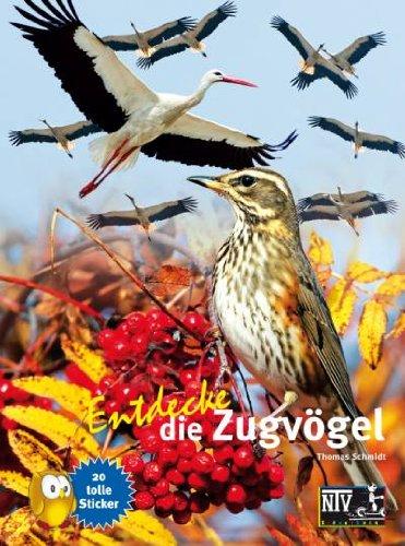 Entdecke die Zugvögel (NTV Kinderbuch)